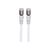 Intellinet Network Patch Cable, Cat7 Cable/Cat6A Plugs,  | 741903