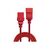 Lindy - Power extension cable - IEC 60320 C19 to IEC 6032 | 30125