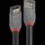 Lindy Anthra Line - USB cable - USB (M) to USB (M) - USB  | 36705