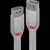 Lindy Anthra Line - USB extension cable - USB (M) to USB  | 36710