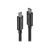 Lindy - Thunderbolt cable - USB-C (M) to USB-C (M) - USB  | 41555