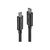 Lindy - Thunderbolt cable - USB-C (M) to USB-C (M) - USB  | 41555