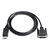 TECHly - Adapter cable - DisplayPort (M) to DV | ICOC-DSP-C12-030