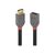 Lindy Anthra Line - DisplayPort extension cable - Display | 36496