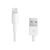 TECHly - Lightning cable - Lightning male to US | ICOC-APP-8WHTY2