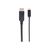 Manhattan USB-C to DisplayPort Cable, 4K@60Hz, 2m, Male  | 152464