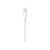 Apple - Lightning cable - Lightning (M) to USB (M) - 2 m | 206997