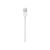 Apple - Lightning cable - Lightning (M) to USB (M) - 2 m | 206997