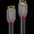 Lindy Anthra Line - USB cable - USB-C (M) to USB-C (M) -  | 36871
