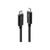 Lindy - Thunderbolt cable - USB-C (M) to USB-C (M) - USB  | 41557