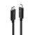 Lindy - Thunderbolt cable - USB-C (M) to USB-C (M) - USB  | 41557