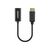 Manhattan DisplayPort 1.2 to HDMI Active Adapter, 4K@60H | 153713
