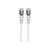 Intellinet Network Patch Cable, Cat7 Cable/Cat6A Plugs,  | 741439