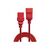 Lindy - Power extension cable - IEC 60320 C19 to IEC 6032 | 30123