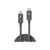 Lindy - USB cable - 24 pin USB-C (M) to 24 pin USB-C (M)  | 31120