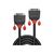 Lindy Black Line - DVI cable - dual link - DVI-D (M) to D | 36251