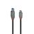 Lindy Anthra Line - USB cable - 24 pin USB-C (M) to USB T | 36666