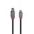 Lindy Anthra Line - USB cable - 24 pin USB-C (M) to USB T | 36666