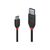 Lindy Black Line - USB cable - USB-C (M) to USB Type A (M | 36916