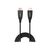 Lindy - HDMI cable - HDMI male to HDMI male - 50 m - fibr | 38515