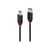 Lindy - USB cable - USB Type A (M) to USB Type B (M) - US | 43227