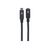 Manhattan USB-C to USB-C Extension Cable, 50cm, Male to  | 355230