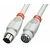 Lindy - Serial extension cable - 8 PIN mini-DIN (M) to 8  | 31533