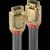 Lindy Gold - DisplayPort cable - DisplayPort (M) to Displ | 36293