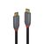 Lindy Anthra Line - USB cable - USB-C (M) to USB-C (M) -  | 36900
