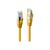 Lindy - Patch cable - RJ-45 (M) to RJ-45 (M) - 30 cm - 6. | 45979