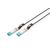 DIGITUS Professional - 10GBase direct attach cable  | DN-81224-01