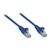 Intellinet Network Patch Cable, Cat5e, 0.5m, Blue, CCA,  | 318129