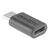 Lindy - USB adapter - 24 pin USB-C (F) to 24 pin USB-C (M | 41893