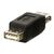 Lindy - USB gender changer - USB (F) to USB (F) - black | 71230