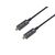 Equip USBC to C Active Optical Cable, 10m, 4K60Hz, 119462