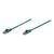 Intellinet Network Patch Cable, Cat6, 0.5m, Green, CCA,  | 342469