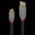 Lindy Black Line - USB cable - USB-C (M) to USB Type A (M | 36910