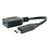 Schwaiger Professional USB adapter USBC (M) to USB CK3105533
