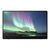 Ricoh 150 - OLED monitor - 15.6" - portable - touchscree | 514909