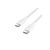 Belkin BOOST CHARGE - USB cable - 24 pin USB-C (M) | CAB014BT2MWH