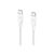 Belkin BOOST CHARGE - USB cable - 24 pin USB-C (M) | CAB014BT2MWH