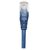 Intellinet Network Patch Cable, Cat5e, 3m, Blue, CCA, U/ | 319775