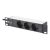 Digitus - Cabinet - wall mountable - black, RAL 9 | DN-10-SET-2-B