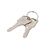 Digitus - Keys set - for DIGITUS DN-45000, DN-4500 | DN-45000-KEY