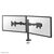 NewStar FPMA-D960DG - Mounting kit - for 2 LCD displays (full-mot