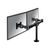 NewStar FPMA-D960DG - Mounting kit - for 2 LCD displays (full-mot