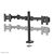 NewStar FPMA-D960DG - Mounting kit - for 2 LCD displays (full-mot