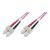 DIGITUS Professional - Patch cable - SC multi-mode | DK-2522-03-4
