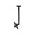 NewStar FPMA-C060 - Bracket - for LCD display (f | FPMA-C060BLACK