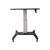 StarTech.com Mobile Standing Desk, Portable Sit Stand E | STSCART